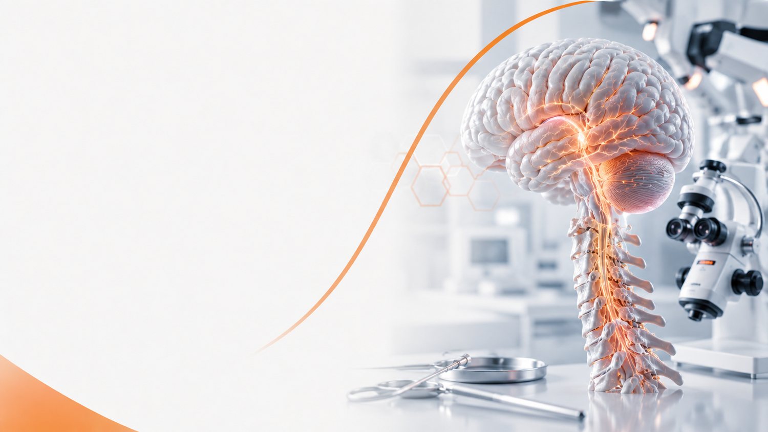 Neurochirurgie